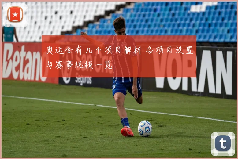 奥运会有几个项目解析 各项目设置与赛事规模一览